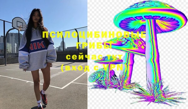 Альфа ПВП Абдулино