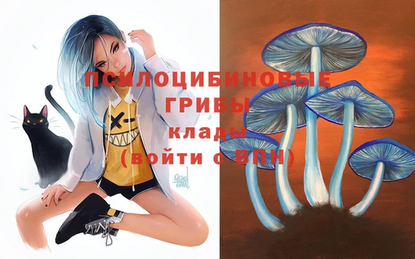 каннабис Абаза