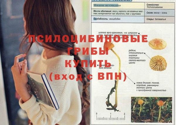 кокс Тобольск