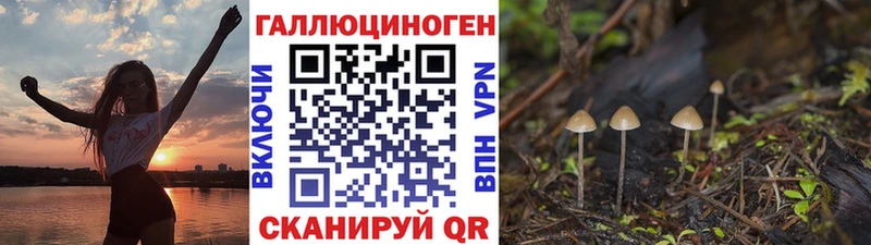 гидра ONION Щучье Галлюциногенные грибы Psilocybine cubensis продажа наркотиков